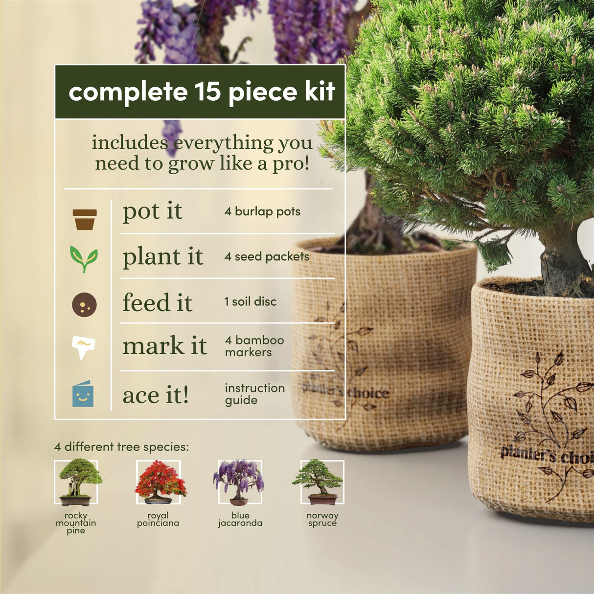 Bonsai Starter Kit - Gardening Easter Gift for Women & Men - Bonsai Tree Growing Garden Crafts Hobby Kits for Adults, Unique DIY Hobbies for Plant Lovers - Unusual Christmas Gifts Ideas