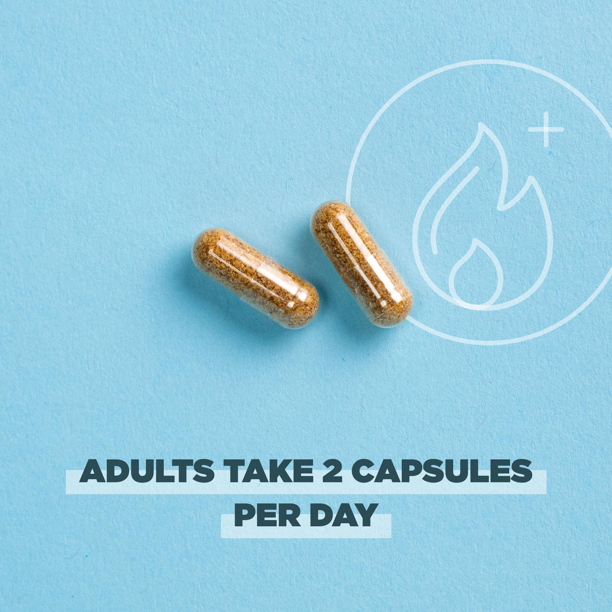 Ancient Nutrition Regenerative Organic Certified Probiotics for Metabolism Support, Healthy Digestion and Immune System Function Support, 50 Billion CFUs* Per Serving, 60 Count