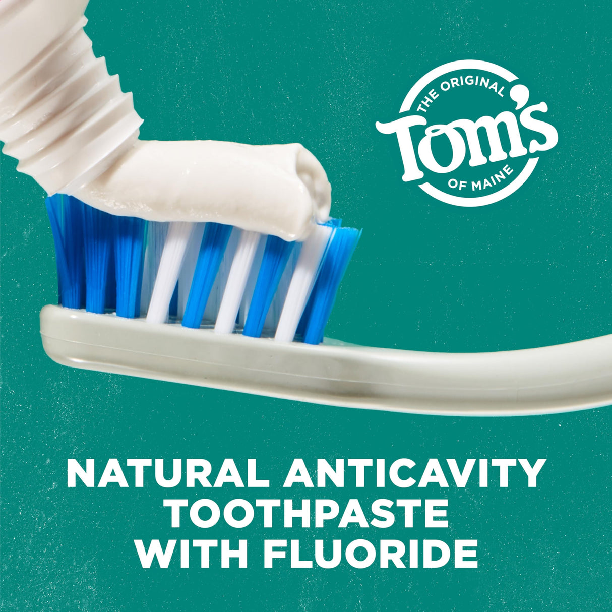 Tom's of Maine Whole Care Natural Toothpaste with Fluoride, Wintermint, 4 Oz. 3-Pack (Packaging May Vary)