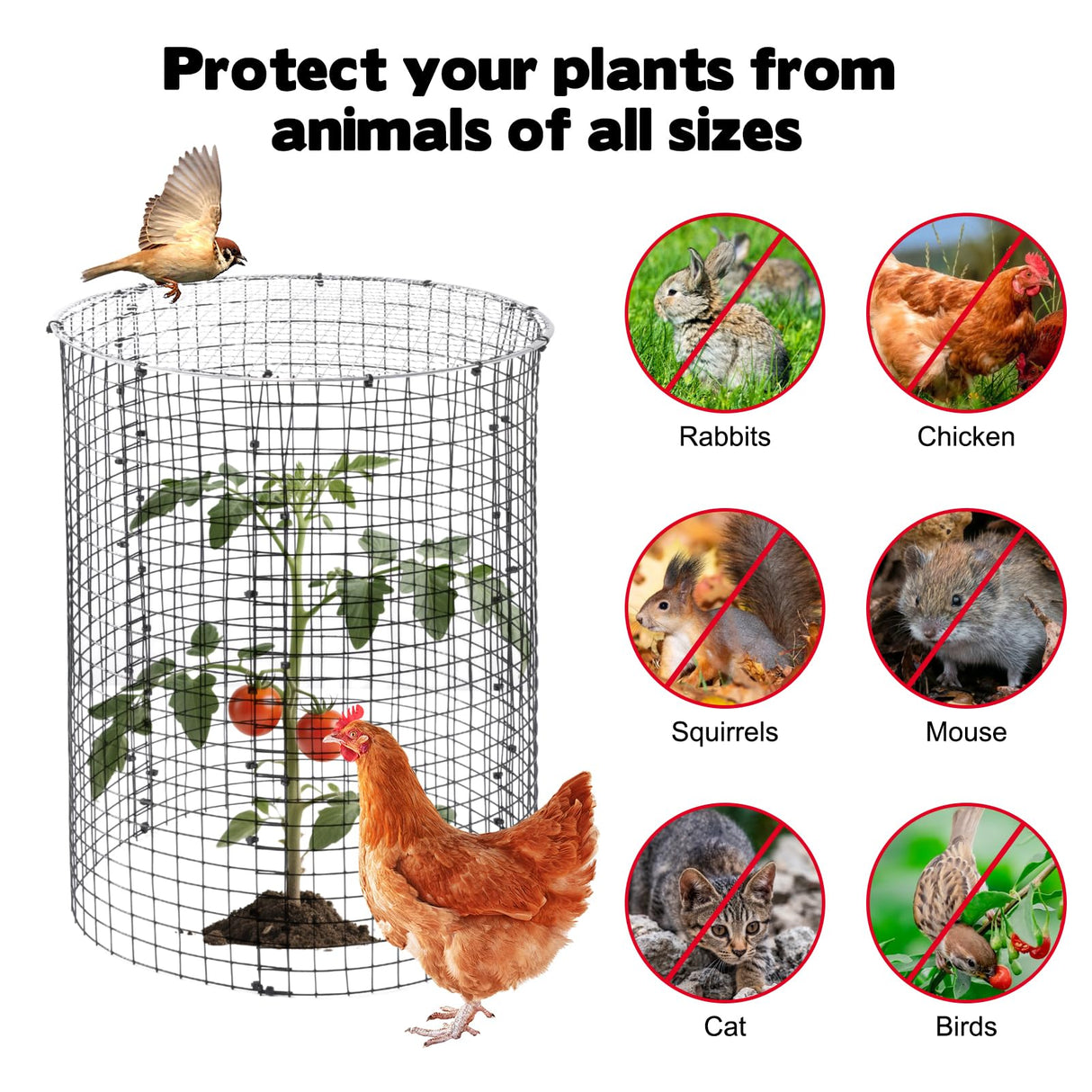 30 Pcs 24'' x 12'' Large Wire Plant Protector from Animals With Metal Cover, 10 Pack Metal Plant Cage Chicken Wire Cloche with 10Pcs Metal Covers to Keep Animals Out, Garden Protection Bunny Barricade