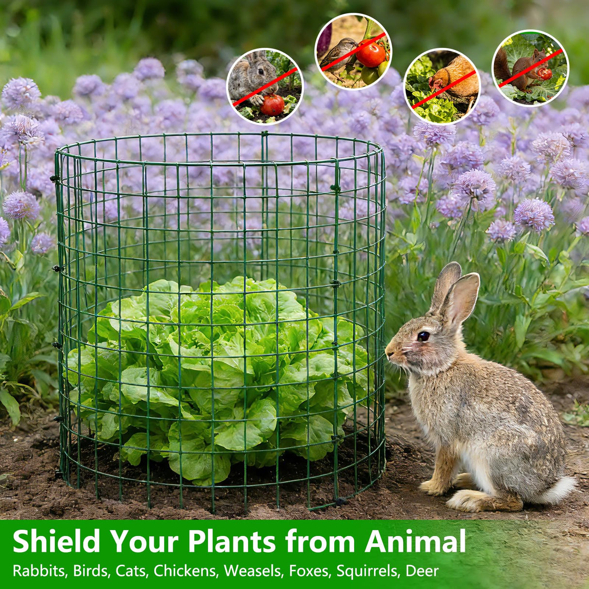 6 Pack 12x16 Inch Plant Protector Cages, Metal Garden Cages for Animals
