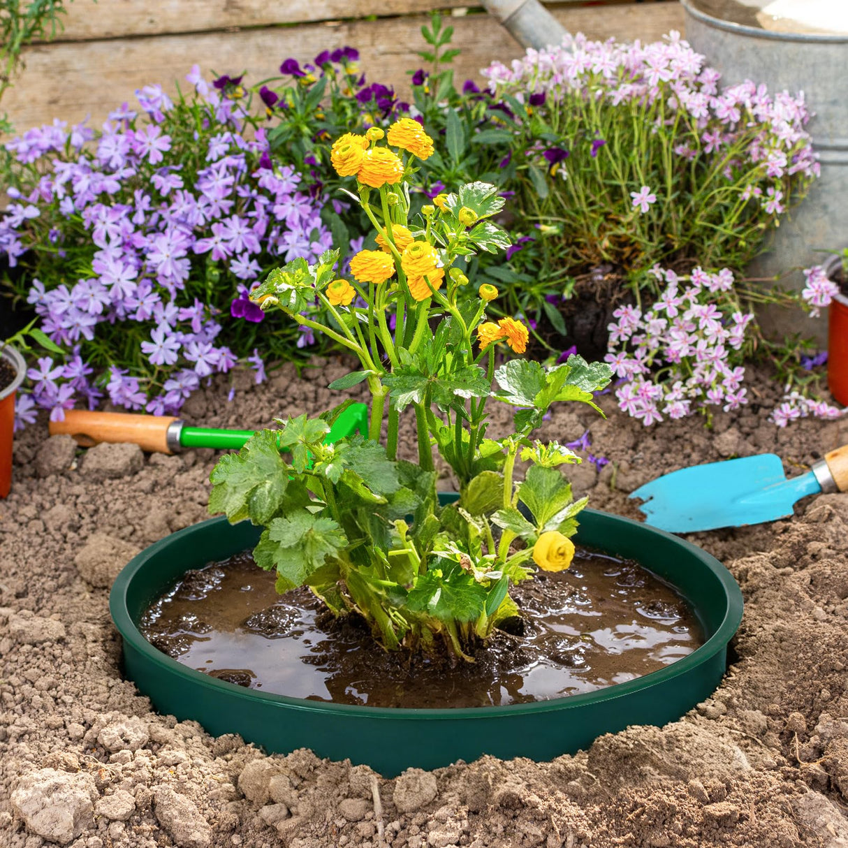 GJQ 6PCS 12 Inches Plant Rings for Outdoor Plants, Plant Rings, Planting Ring, Planting Grow Rings to Separate Rock and Pest for Deep Watering Veggies Herbs and Flowers