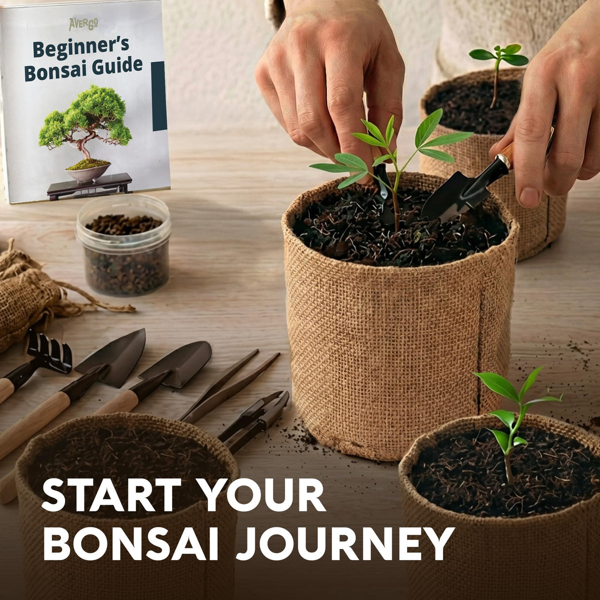 Bonsai Tree Kit Deluxe - Growing 5 Unique Japanese Bonzai Trees