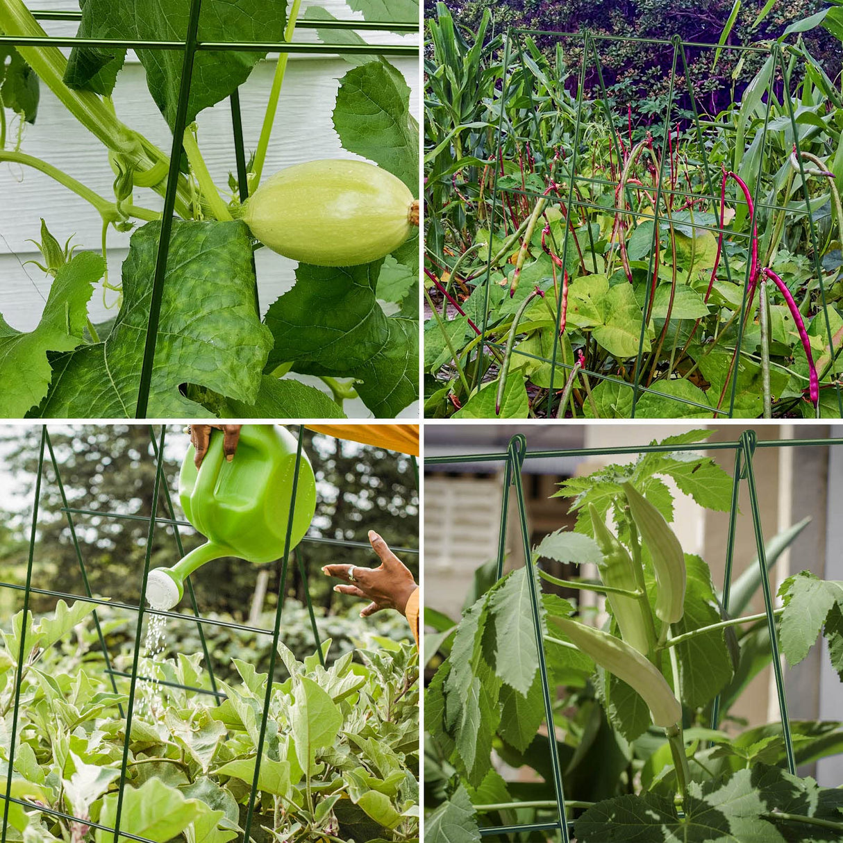 Kyrieval 48" Hx 18" L Cucumber Trellis for Garden A Frame Plant Support for Raised Bed, Outdoor Indoor Plant Garden Trellis for Climbing Plants (2 Packs)