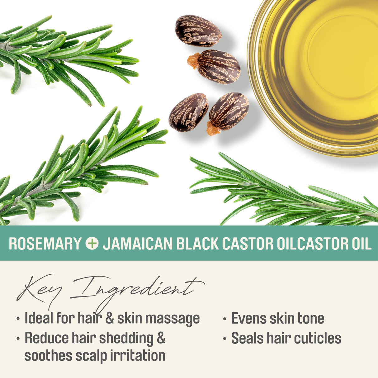 Herbal Collection Jamaican Black Castor Oil (Rosemary) 4oz | Revitalizing & Nourishing Oil for Hair, Skin & Scalp | Promotes Hair Growth, Stimulates Scalp & Adds Shine | Paraben-Free & Cruelty-Free