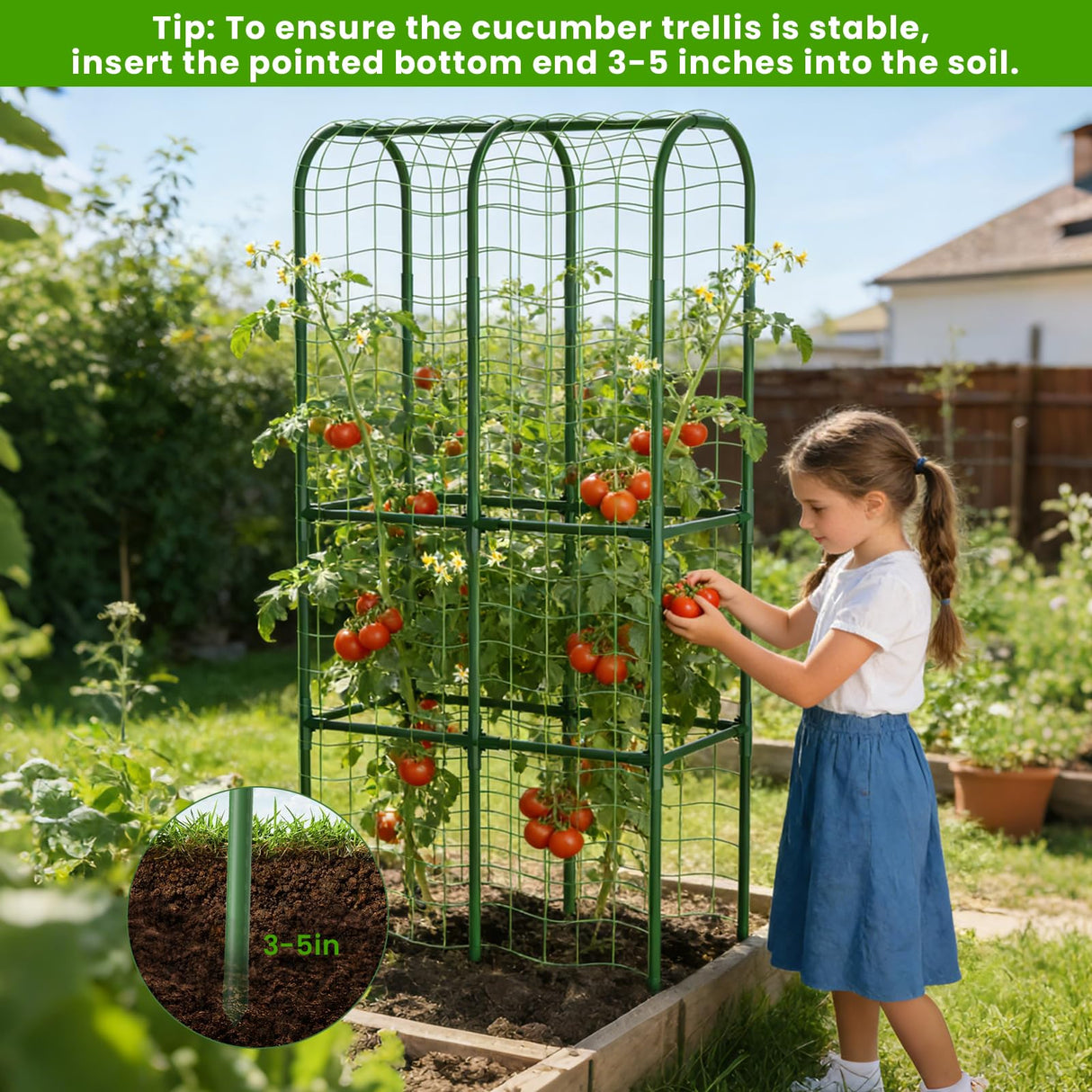 62in Tall Cucumber Trellis for Raised Bed, 34" L x 62" H Metal Garden Trellis for Climbing Plants Outdoor, U-Shape Vegetables Trellis Support for Squash Zucchini Peas Grape