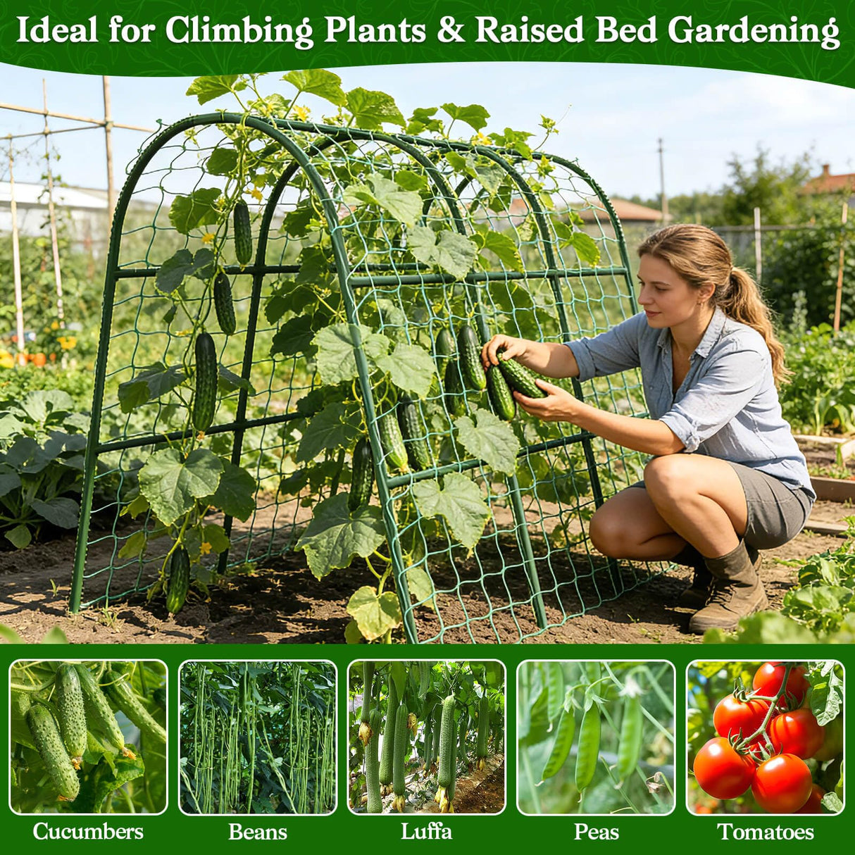 Cucumber Trellis for Raised Bed, Garden Arch Trellis for Climbing Plants Outdoor, Metal Garden Trellis for Spring Vegetables, Cucumber Trellis for Tomato, Bean, Pea, Grape, Plant