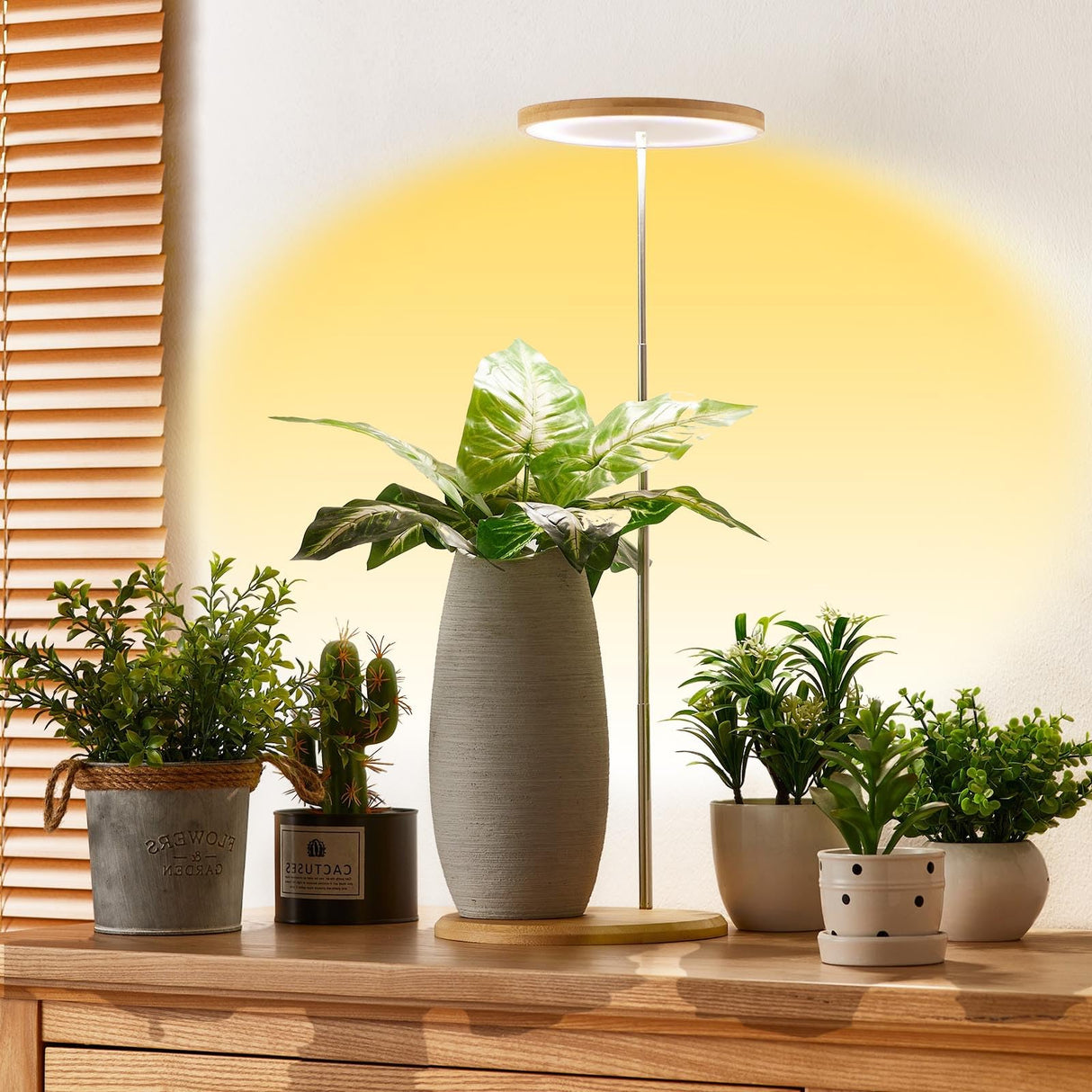 Plant Grow Light for Indoor Plant,Bamboo Mini LED Grow Light Garden,Height Adjustable,Automatic Timer with 8/12/16 Hours,1 Pack