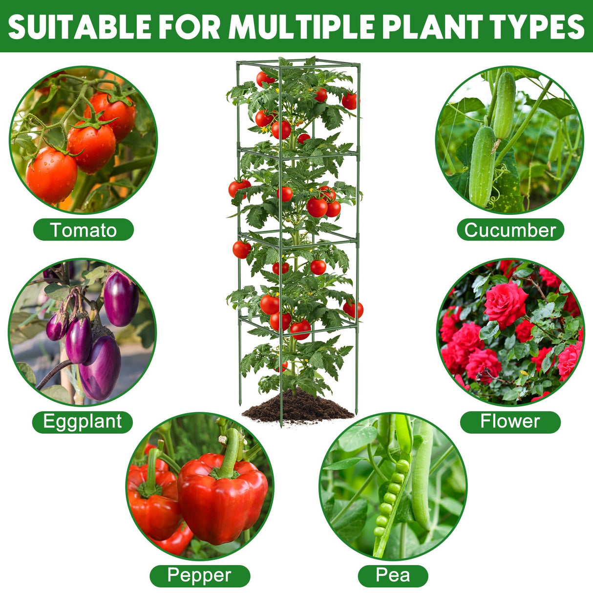 3 Pack Tomato Cage, 14.5" W x 53" H Square Tomato Trellis with 50 Pcs Clips