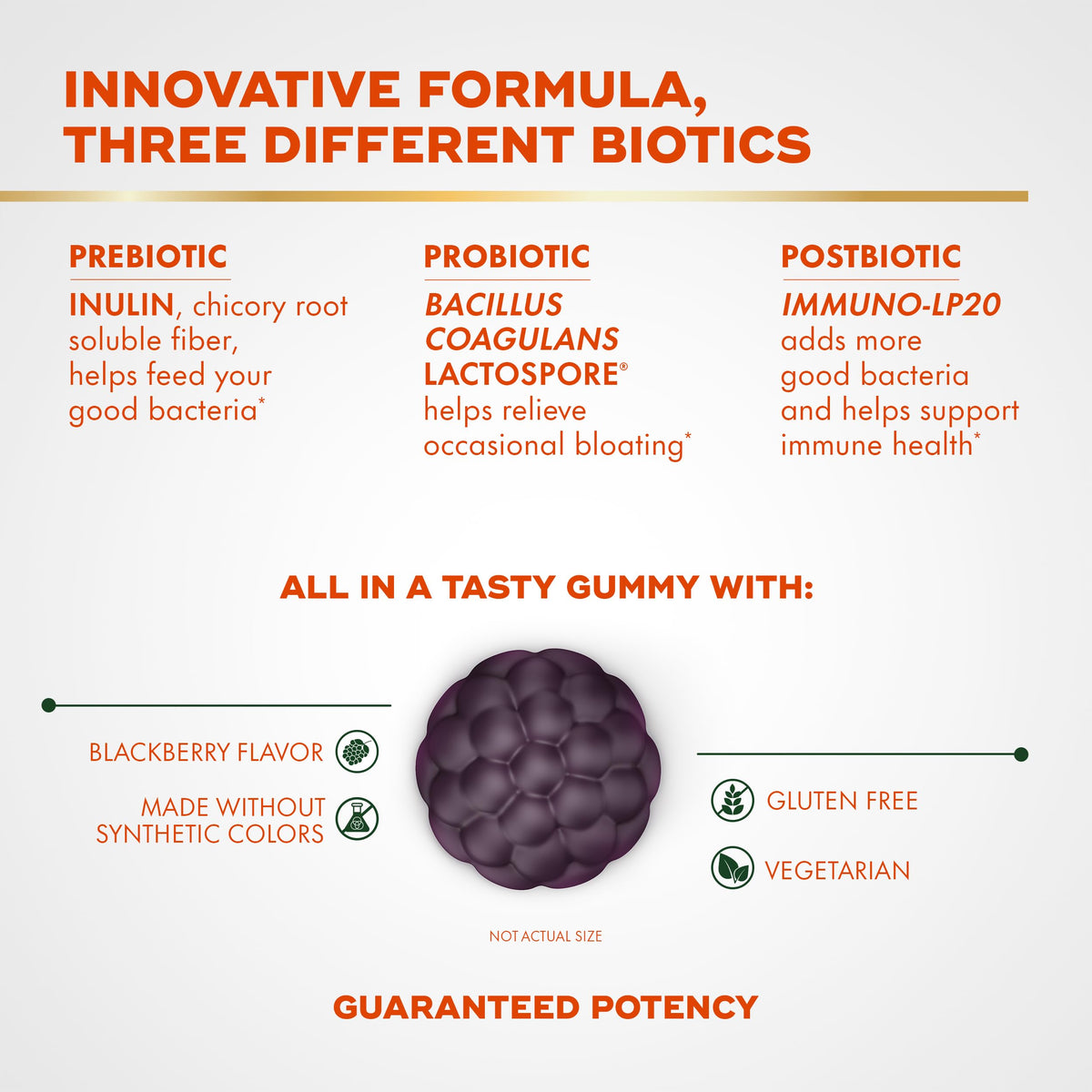 Align Probiotic, 3-in-1 Biotic Gummies, Prebiotic + Probiotic + Postbiotic, Probiotics for Women, #1 Doctor Recommended Probiotic Brand‡, Helps Relieve Occasional Bloating*, Blackberry Flavor, 50 Gummies