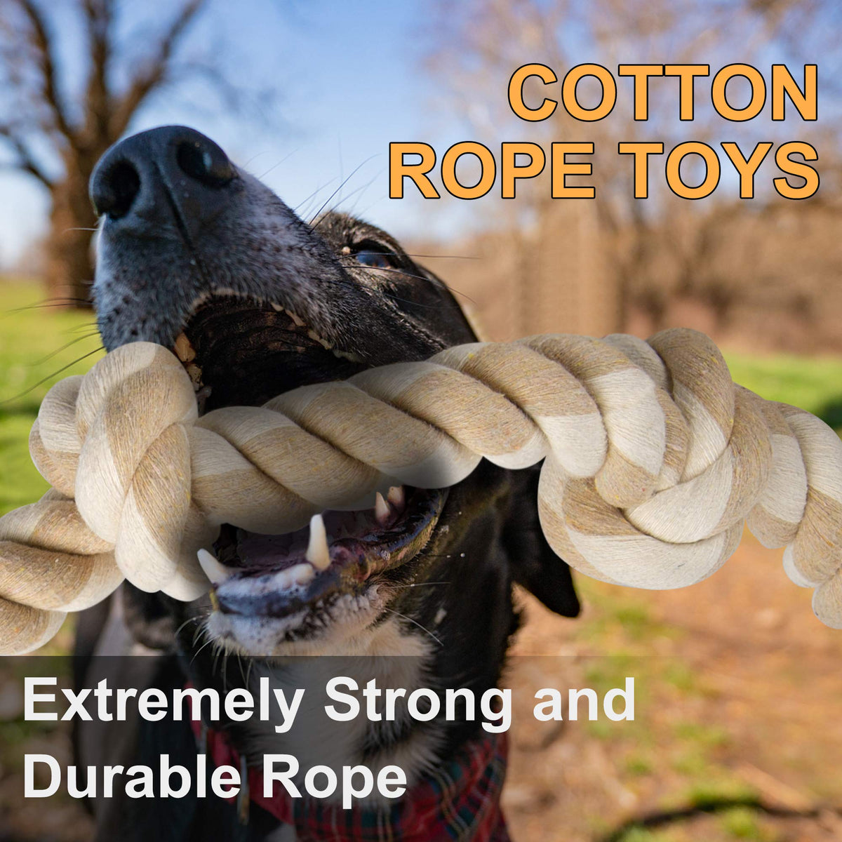 Fida Dog Rope Toys for Aggressive Chewers, Chew Toys for Large Medium Dogs