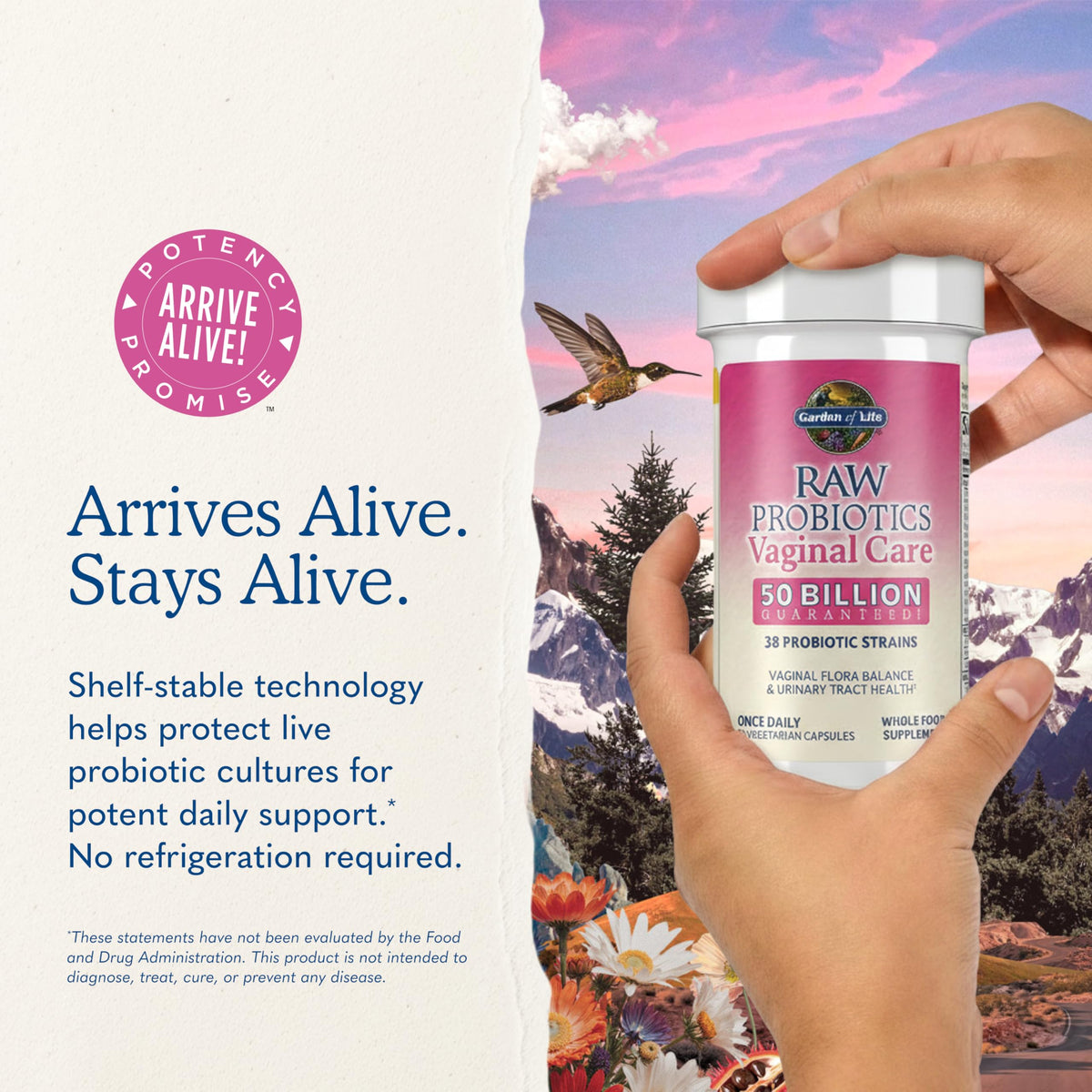 Garden of Life Raw Probiotics Vaginal Care, 50 Billion CFU, Shelf Stable