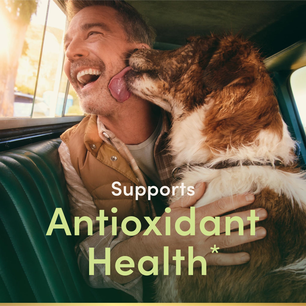 Nature's Bounty Tetra BettaSafe, Aquarium Water Conditioner for Bettas, 1.69-Ounce, 50ml, Golds & Yellows (16837) (Pack of 2)