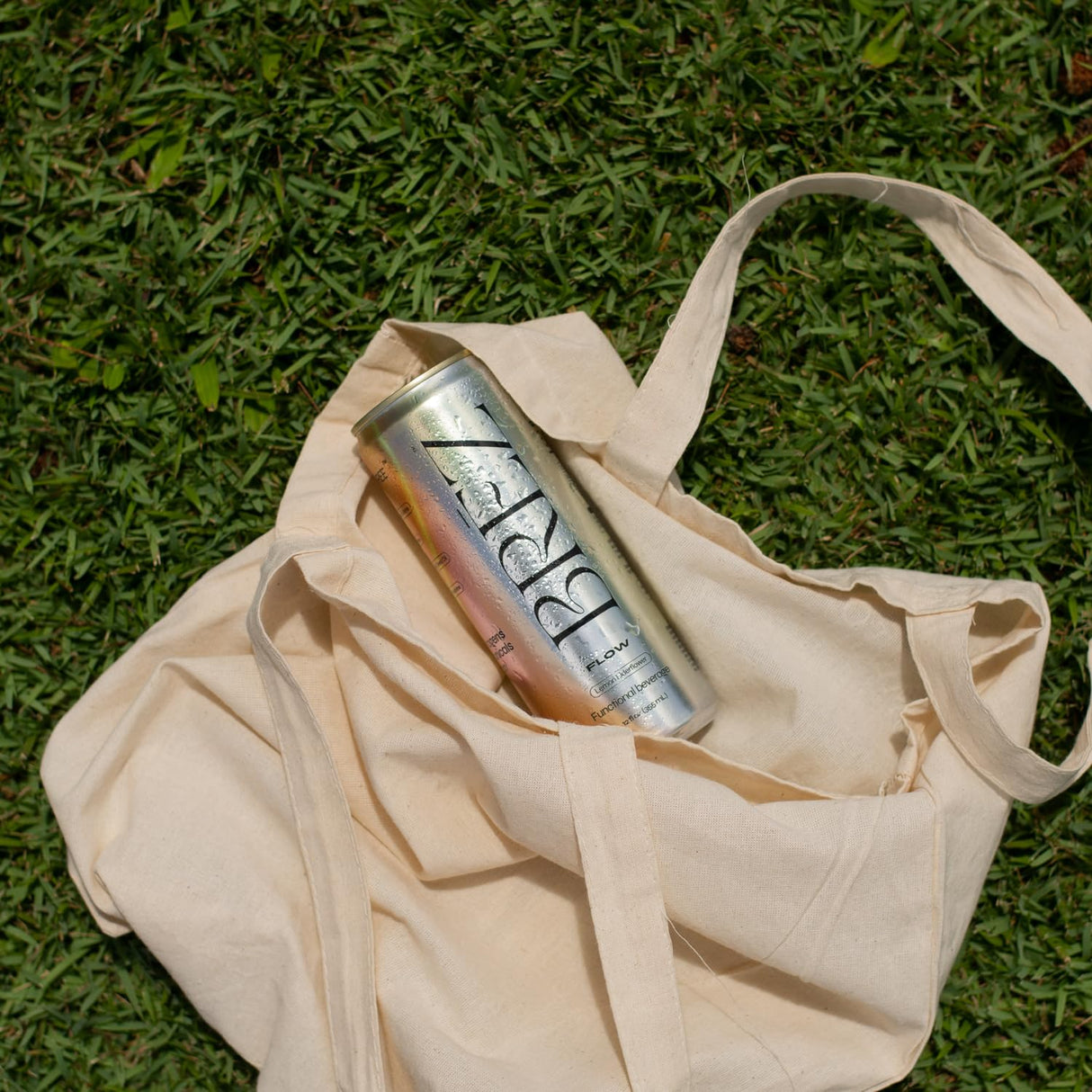 BREZ FLOW Lion’s Mane Mushroom Drink, 6-Pack, Non-Infused, Adaptogens, Relieving, Uplifting, and Social, Sparkling Lemon Elderflower Tonic 12 Fl oz