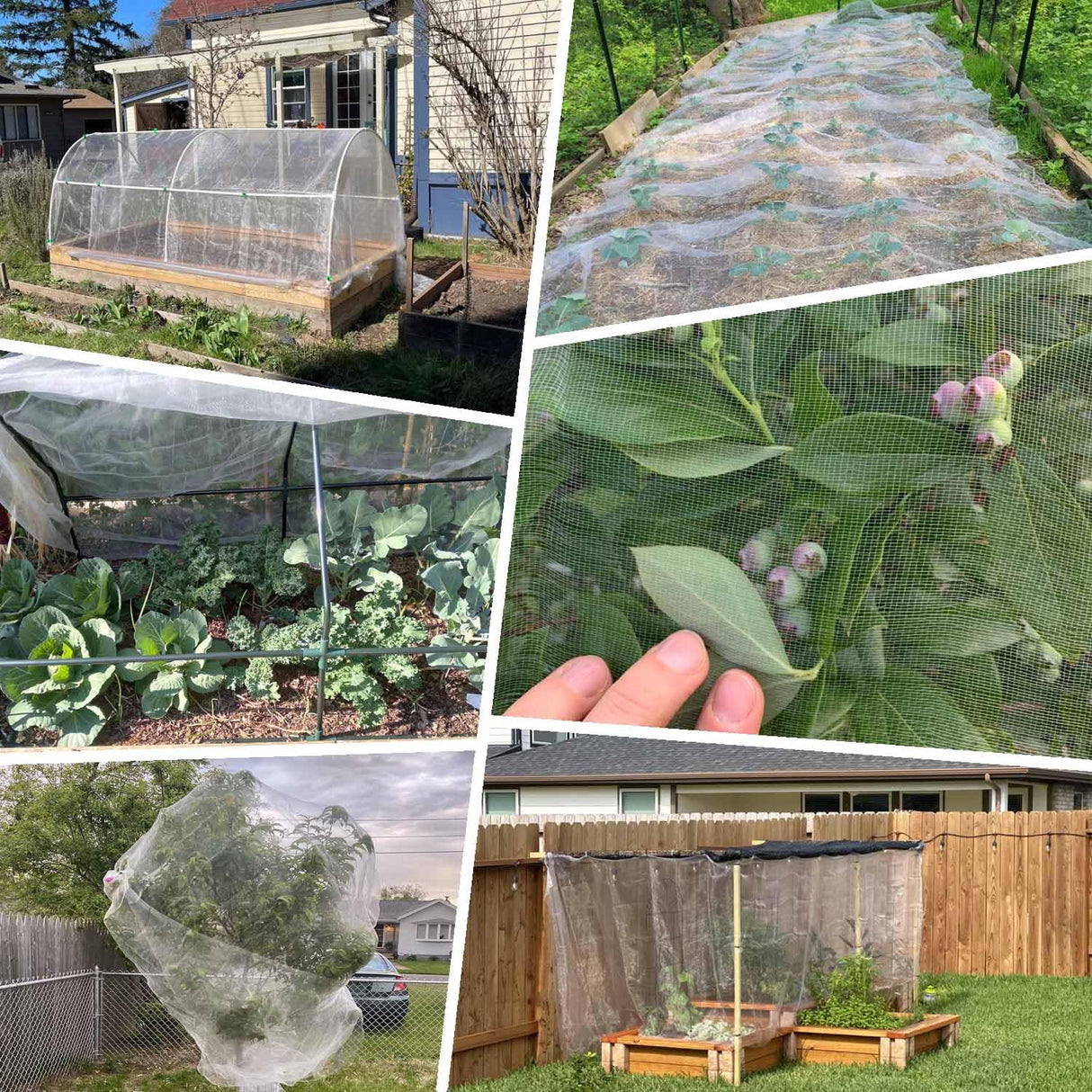 KLEWEE 10 x 50 FT Garden Mesh Netting, Ultra Fine Mesh Plant Netting Covers