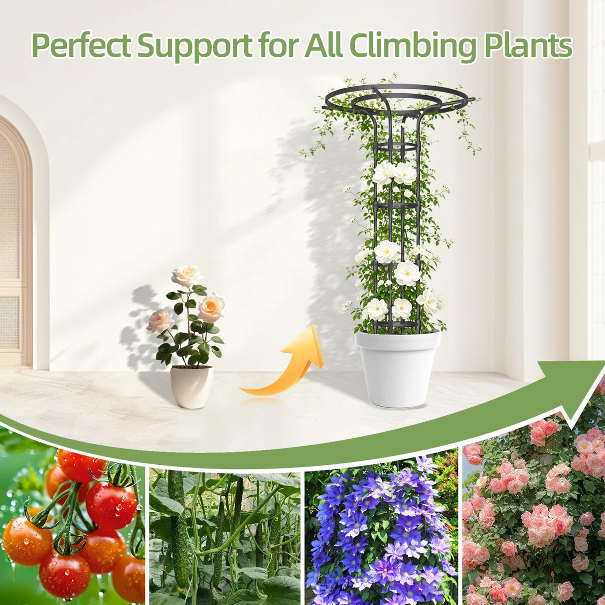 Garden Trellis for Climbing Plants Outdoor,84.6" Tall Umbrella Trellis