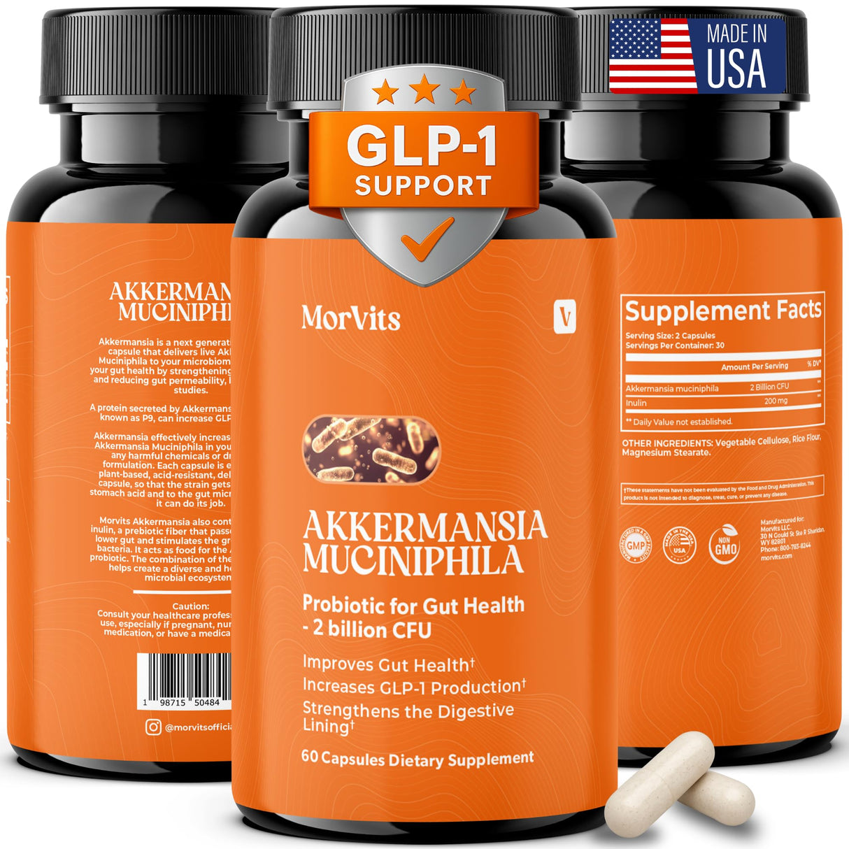 Akkermansia Probiotic | GLP-1 Supplement for Gut Health, Akkermansia Muciniphila, 2 Billion CFU Live Strain for Men & Women (60 Capsules, 1-Pack) - Inulin Prebiotic Fiber, Increases GLP1 Production