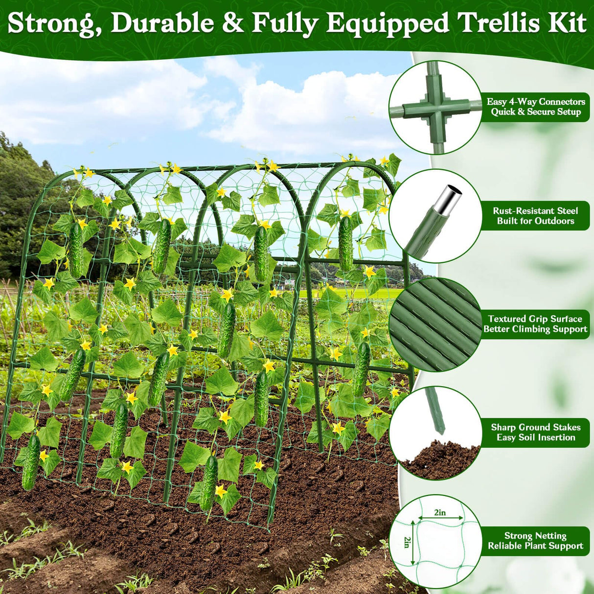 Cucumber Trellis for Raised Bed, Garden Arch Trellis for Climbing Plants Outdoor, Metal Garden Trellis for Spring Vegetables, Cucumber Trellis for Tomato, Bean, Pea, Grape, Plant