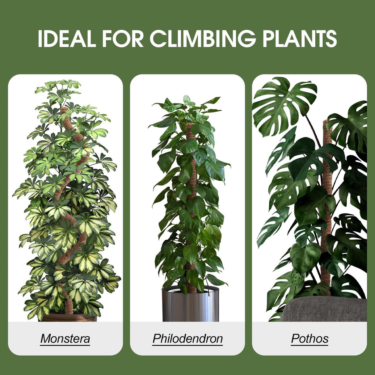 2 Pack Moss Pole 63 Inch Monstera Plant Sticks Support Tall Long Stakes