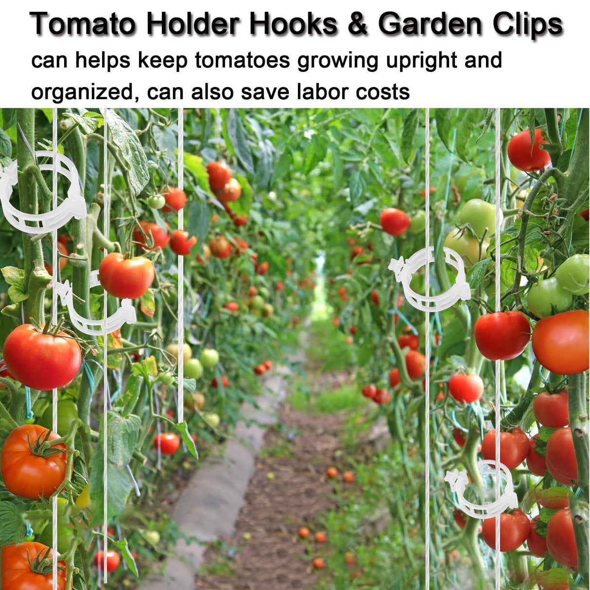 Hidbot Tomato Support Hooks with String 20 Pcs,100 Pcs Plant Support Clips for Climbing Plants,Tomato Trellis Roller Hooks with 49.2FT String,Reusable Grape Vine Clips to Prevent Tomatoes