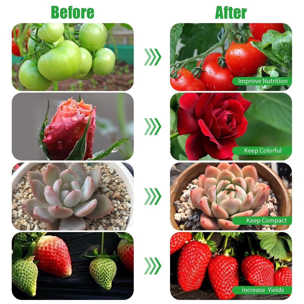 LED Plant Grow Light, Suitable for Indoor Plants, Full Spectrum Clip on Plant Growing Light with Red, Blue, Yellow Beads, 10 Brightness Levels, 3 Light Modes, 3/9/12H Auto Timer, 3 Head