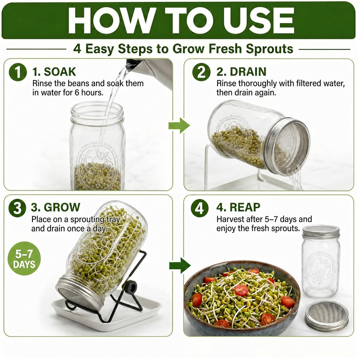 4 Large 1000ML Wide Mouth Mason Jar Sprouting Kit, with Stainless Steel Stand, Drain Tray & Cleaning Brush, High Germination for Beans, Broccoli, Fresh Sprouts