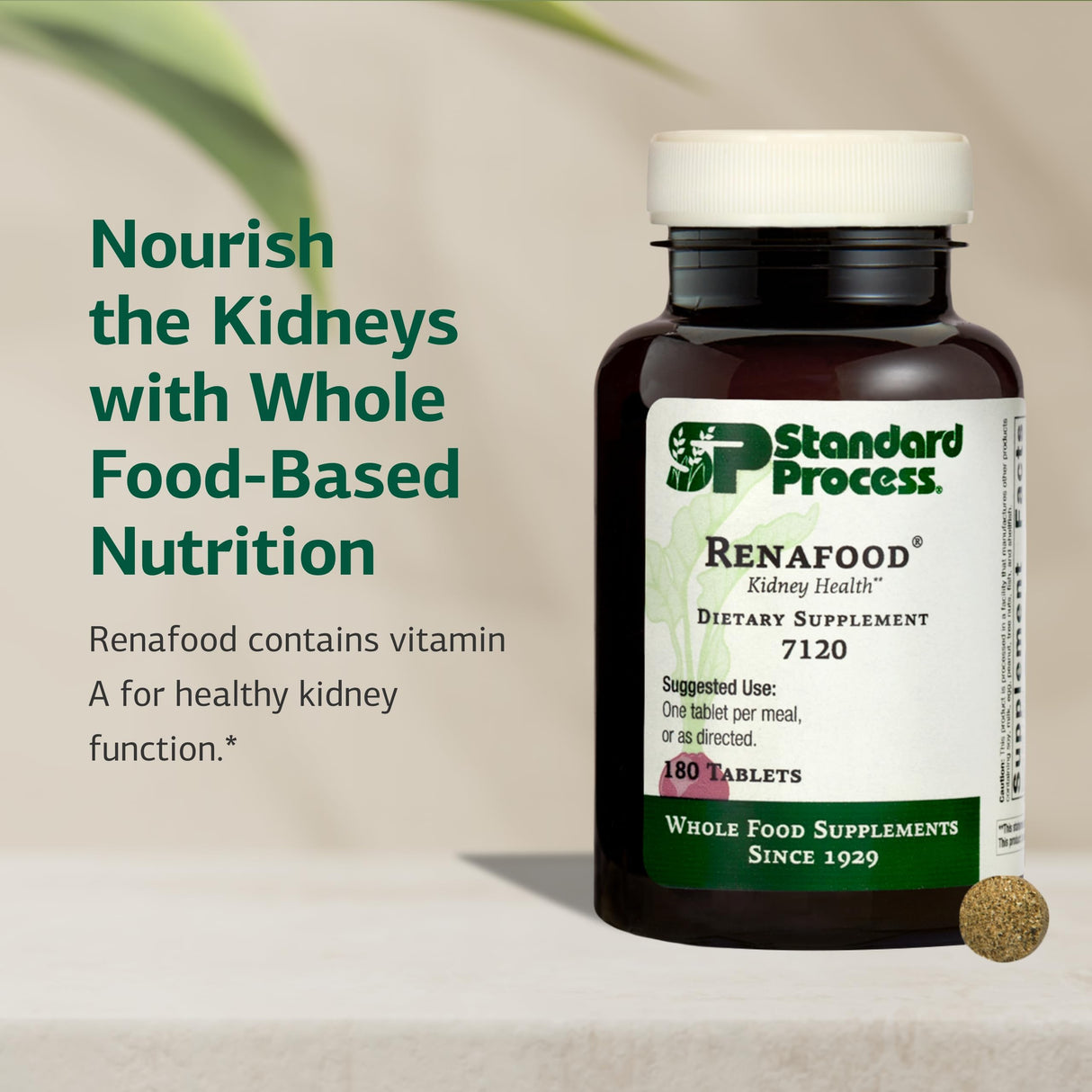 Standard Process Renafood - Supports Healthy Kidney Function & Antioxidant Activity - Contains Vitamins A - Non-Soy - 180 Tablets