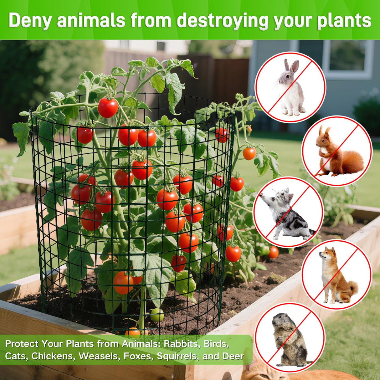 8 Pack 13.8x12 inch Plant Protector, Wire Garden Cages with Stakes & Ties
