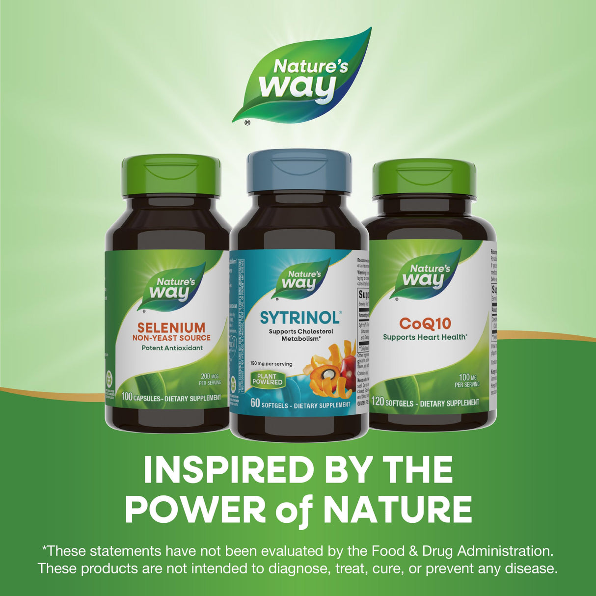 Nature's Way Sytrinol Cholesterol Control; Premium Blend; 60 Softgels