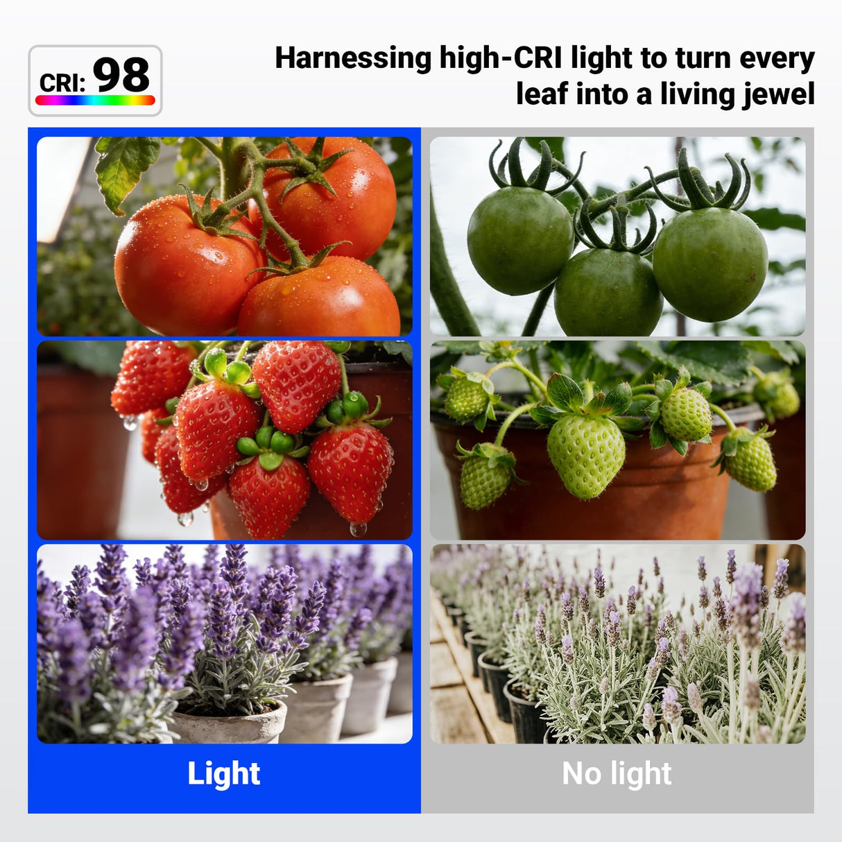 Barrina Orbgrow OG11A Grow Light Bulbs for Indoor Plants, Integrated Dimming & Timing, 5000K 44W(4 x 11W, 400 Watt Equiv), E26 Plant Light Bulb, Full Spectrum for Seeds and Greens, 4 Packs, White