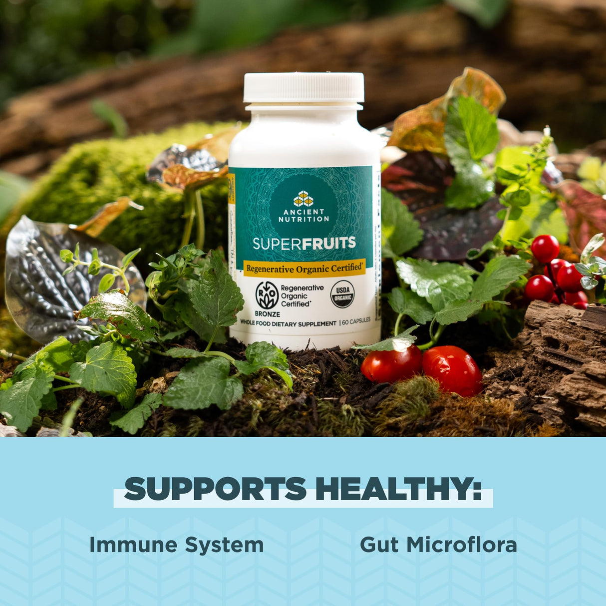 Ancient Nutrition Regenerative Organic Certified SuperFruits Capsules, Supports Gut and Immune System Health, Made with Probiotics, Dragonfruit, Mulberry, and Goji, 60 Count
