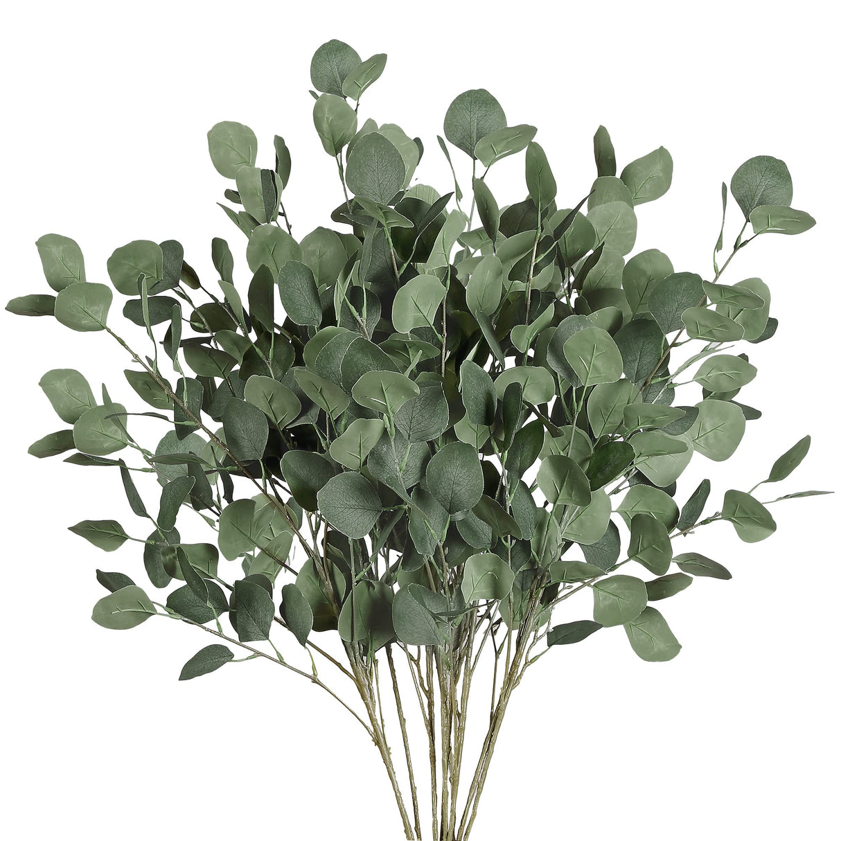 Sggvecsy 6 Pcs Eucalyptus Leaves Artificial Eucalyptus Stems Long Silver Dollar Leaves Faux Leaf Branches Fake Silk Eucalyptus for Spring Summer Home Festival Thanksgiving Christmas Decor (Green)