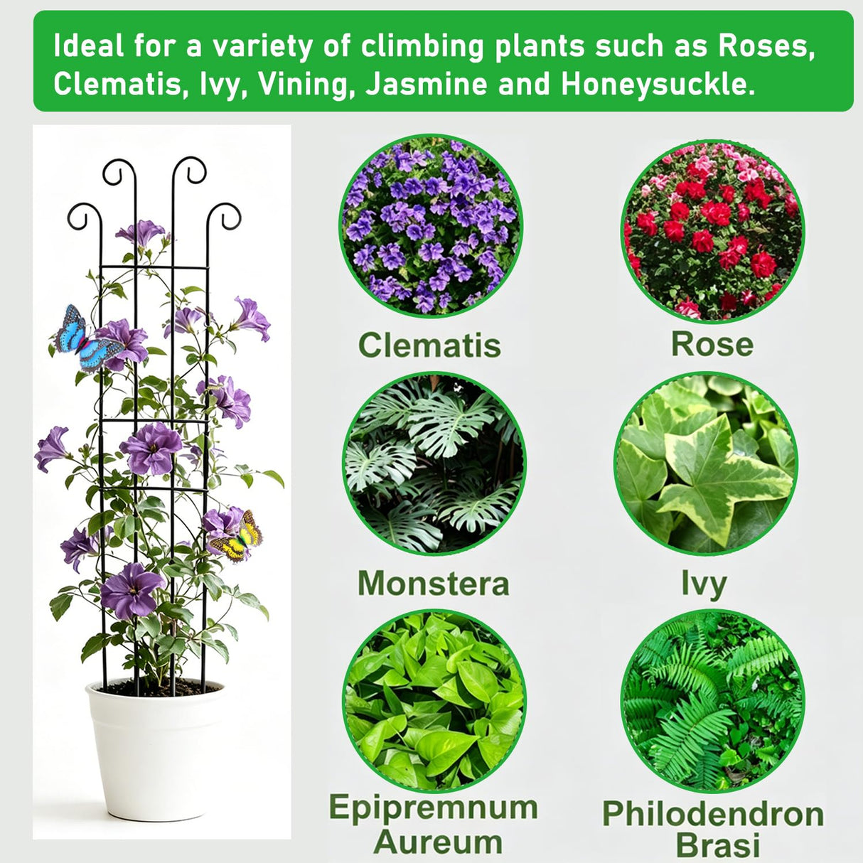 32.6inch Plant Trellis for Pot Climbing Plants Indoors & Outdoor, Garden Trellis for Potted Plants, Rust-Proof Metal Sturdy Yet Gentle Climbing Stakes Support for Ivy Pothos Hoya Monstera (4pcs)