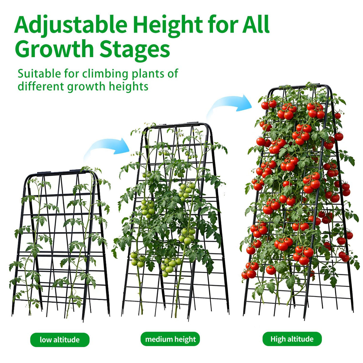 DOLEMODUO Heavy Duty Trellis for Climbing Plants, 50"x17" Adjustable Height Steel Cucumber Trellis, Powder Coated Metal Garden Trellis for Raised Beds,Tomatoes, Cucumbers & Outdoor Vines