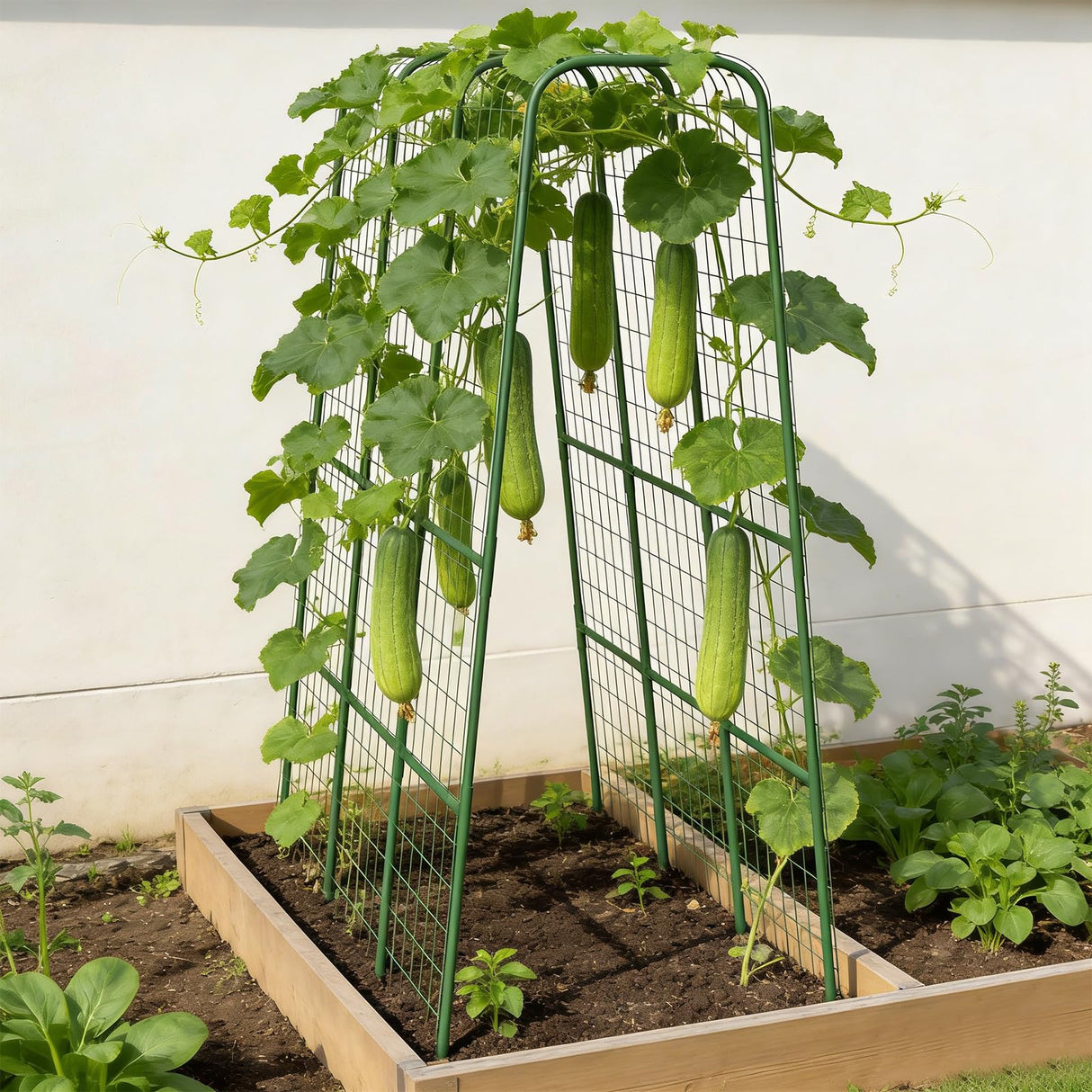 Cucumber Trellis for Raised Bed, 63" Heavy Duty U-Shape Garden Trellis for Climbing Plants Outdoor, Rustproof Plastic Metal Arch Vegetables Trellis Plant Support for Vine, Fruits, Beans and Flowers