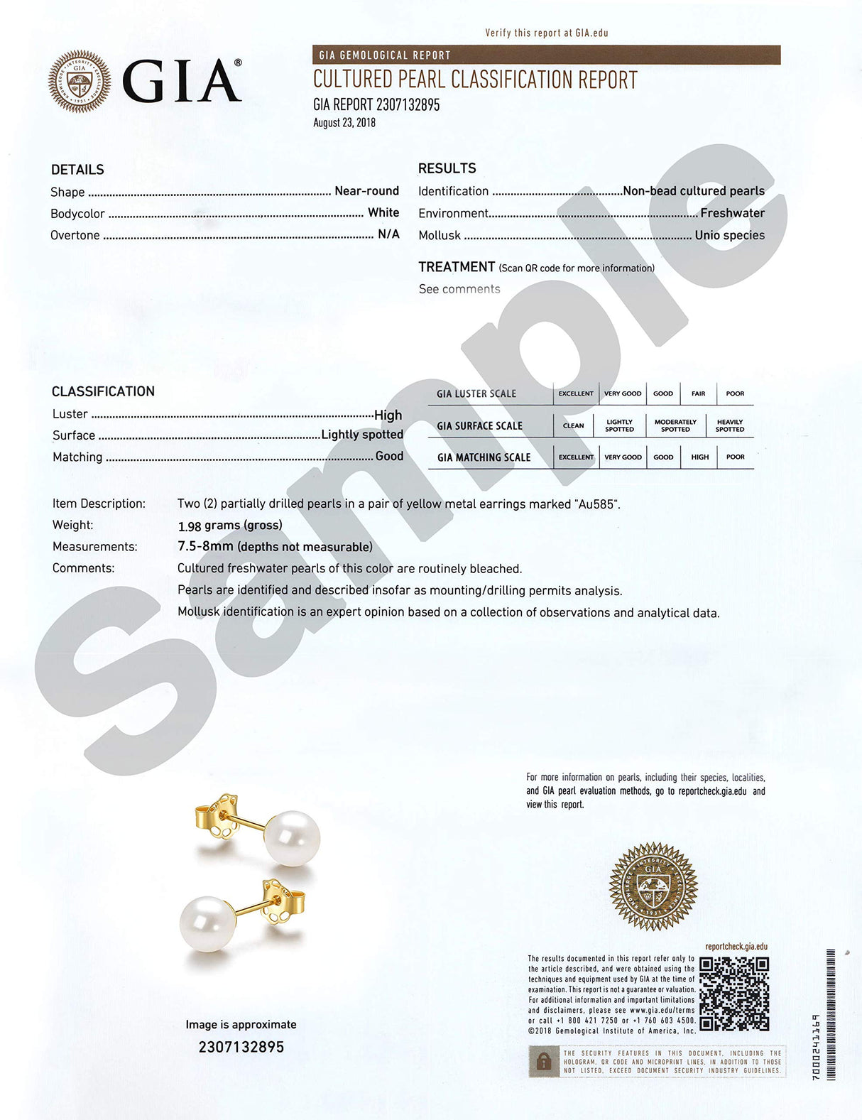 14K Yellow Gold AAA+ Round 7.5-8mm Freshwater Cultured Pearl Earrings Stud for Women