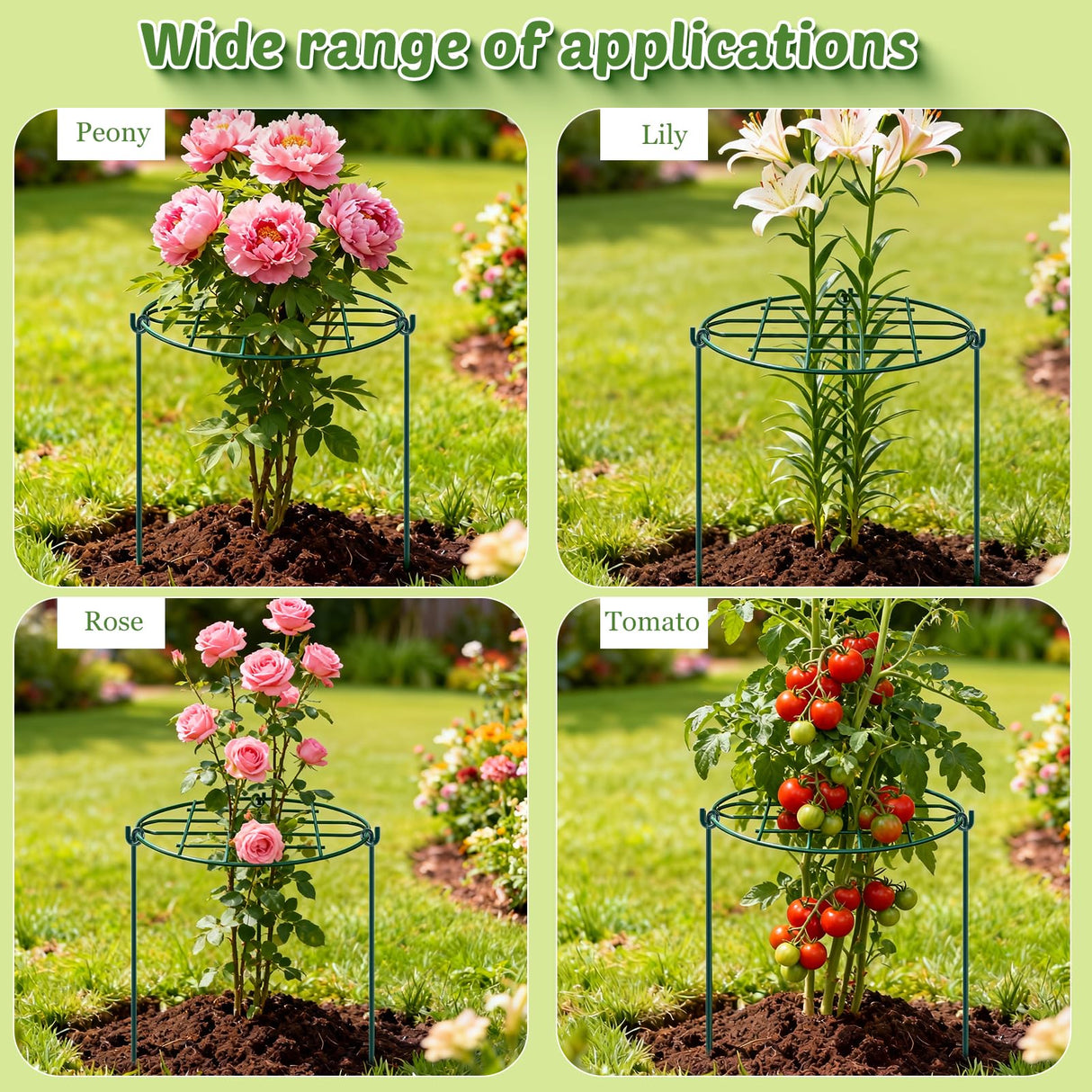TTQ 8 Pack 12 x 15.7 inch Peony Cages and Supports,Metal Grow Through Plant Supports for Outdoor Plants,Flowers Support Rings Top-Heavy Plant Brace Support Hoop for Vegetables,Rose,Tomato,Orchids