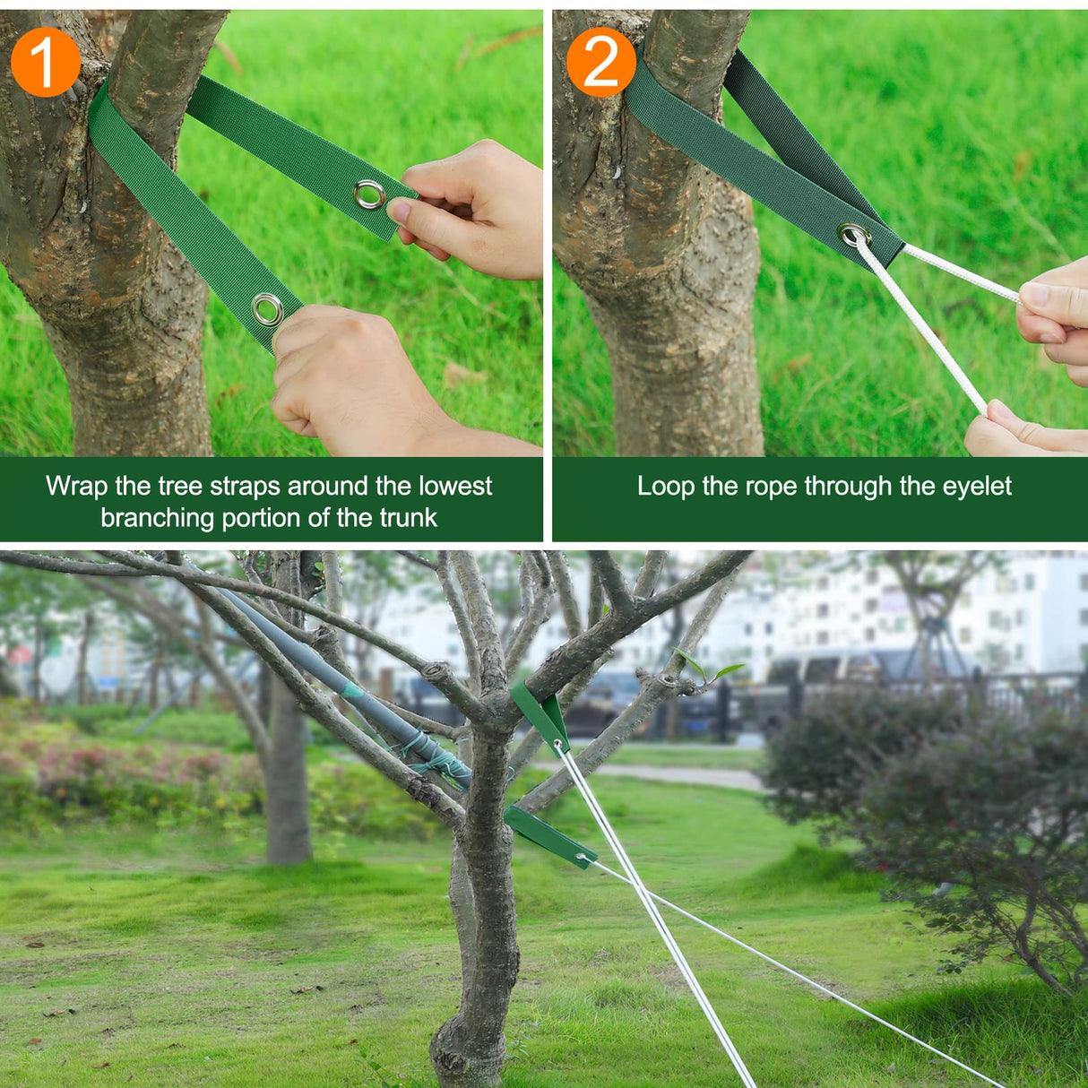 Jevrench 36 PCS Tree Straps for Staking, Guying, & Hurricane Protection, Heavy Duty Nylon Tree Support Straps with Buckle Fasteners
