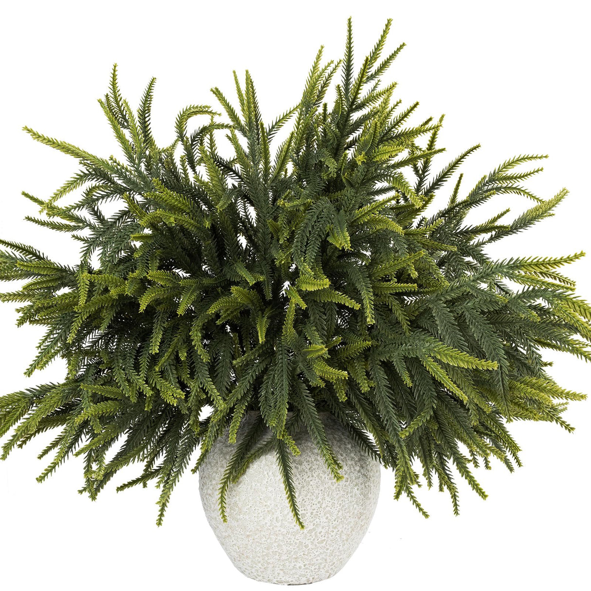 N&T NIETING 24in Christmas Norfolk Pine Branches Pine Artificial Christmas Branches Real Touch Faux Norfolk Pine Stems for Xmas Indoor Outdoor Home Decor DIY Crafts (18 Pcs)