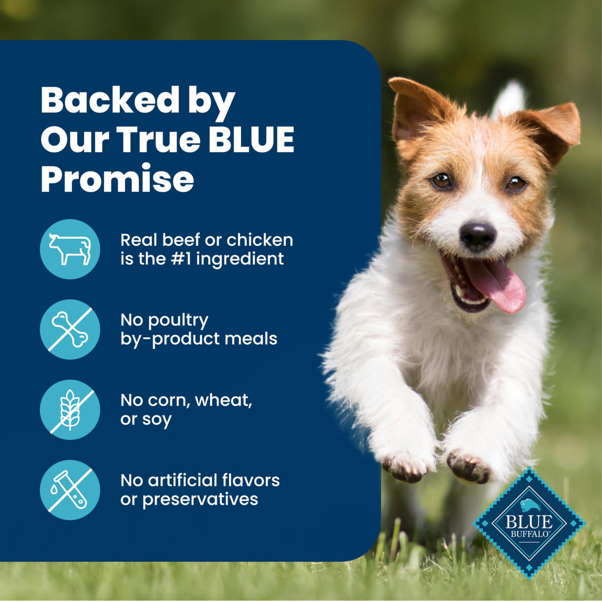 Blue Buffalo Delectables Variety Pack Dog Food Topper, 3 oz, 12 ct
