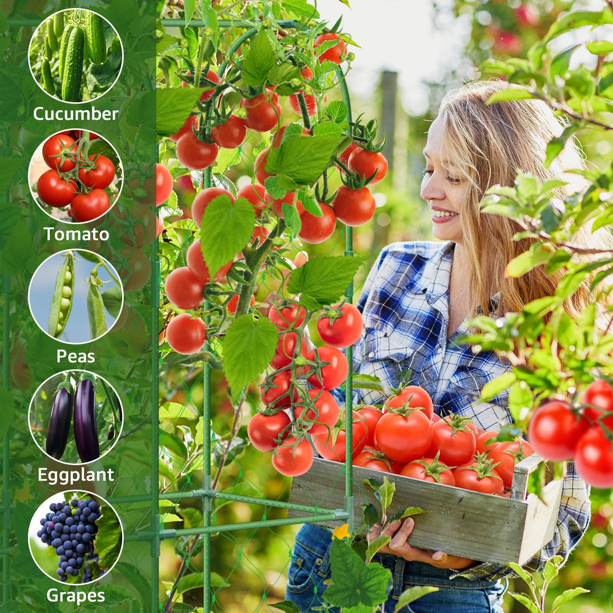 65"×48" Upgrade Heightened Cucumber Trellis for Raised Bed, U-Shape Garden Trellis for Climbing Plants Outdoor, Metal Arch Trellis for Fruit Vegetable Flower