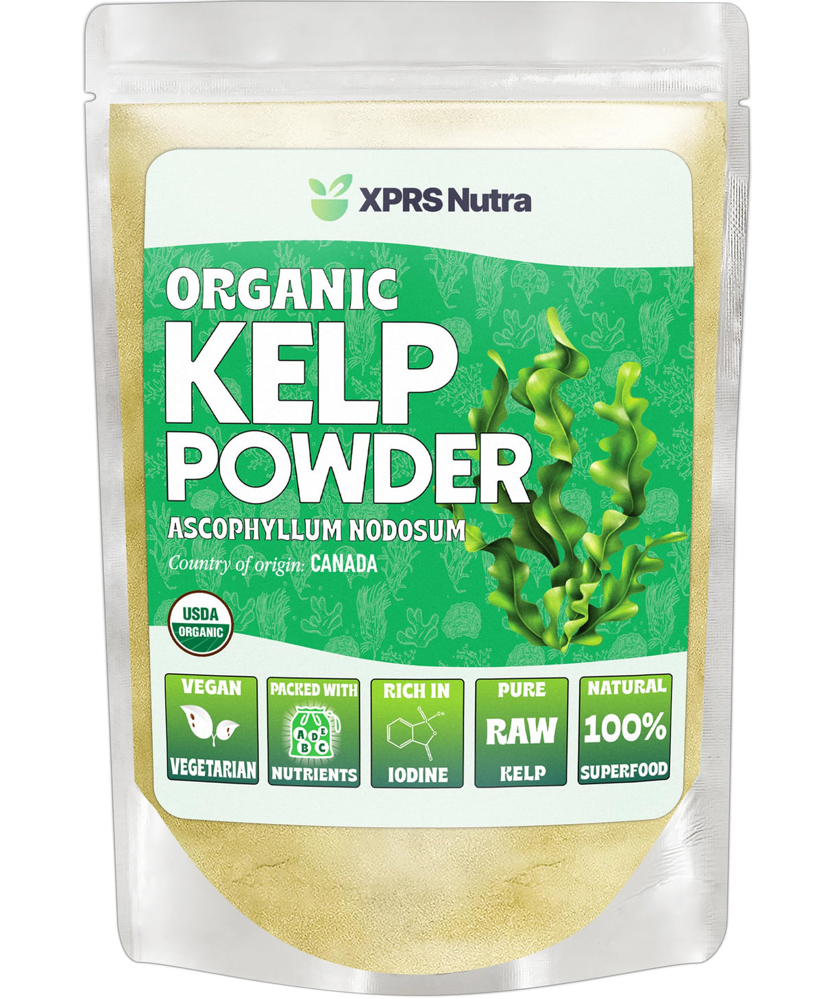 XPRS Nutra Organic Kelp Powder (Ascophyllum Nodosum) - Seaweed Powder Rich in Iodine, Immune Vitamins and Minerals - Food Grade Sea Kelp Supplement Vegan Superfood for Skin Care (16 oz)