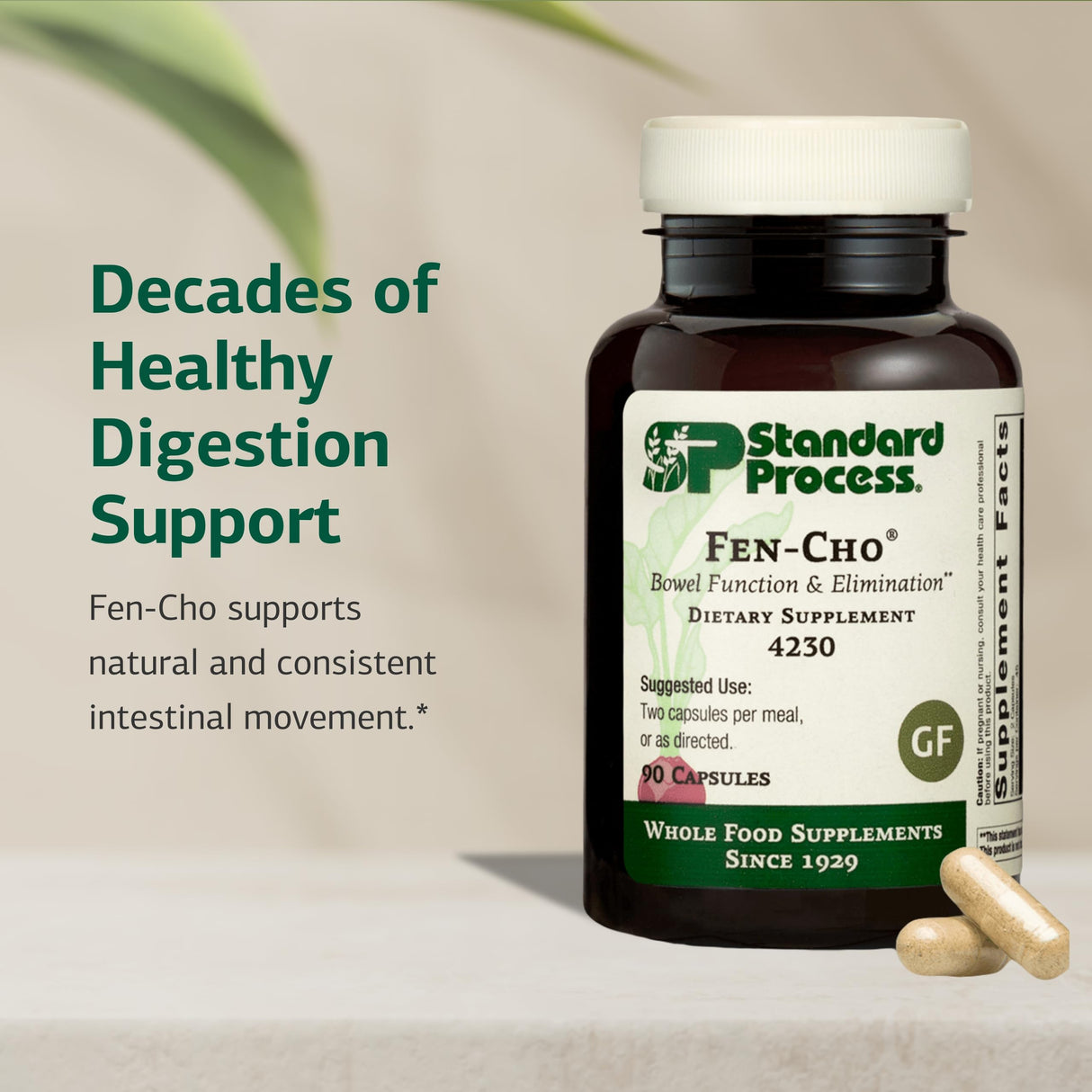 Standard Process Inc. Fen-Cho - Whole Food Bowel and Digestive Health with Collinsonia Root, Fenugreek Seed, Bile Salts, and Okra Fruit - 90 Capsules