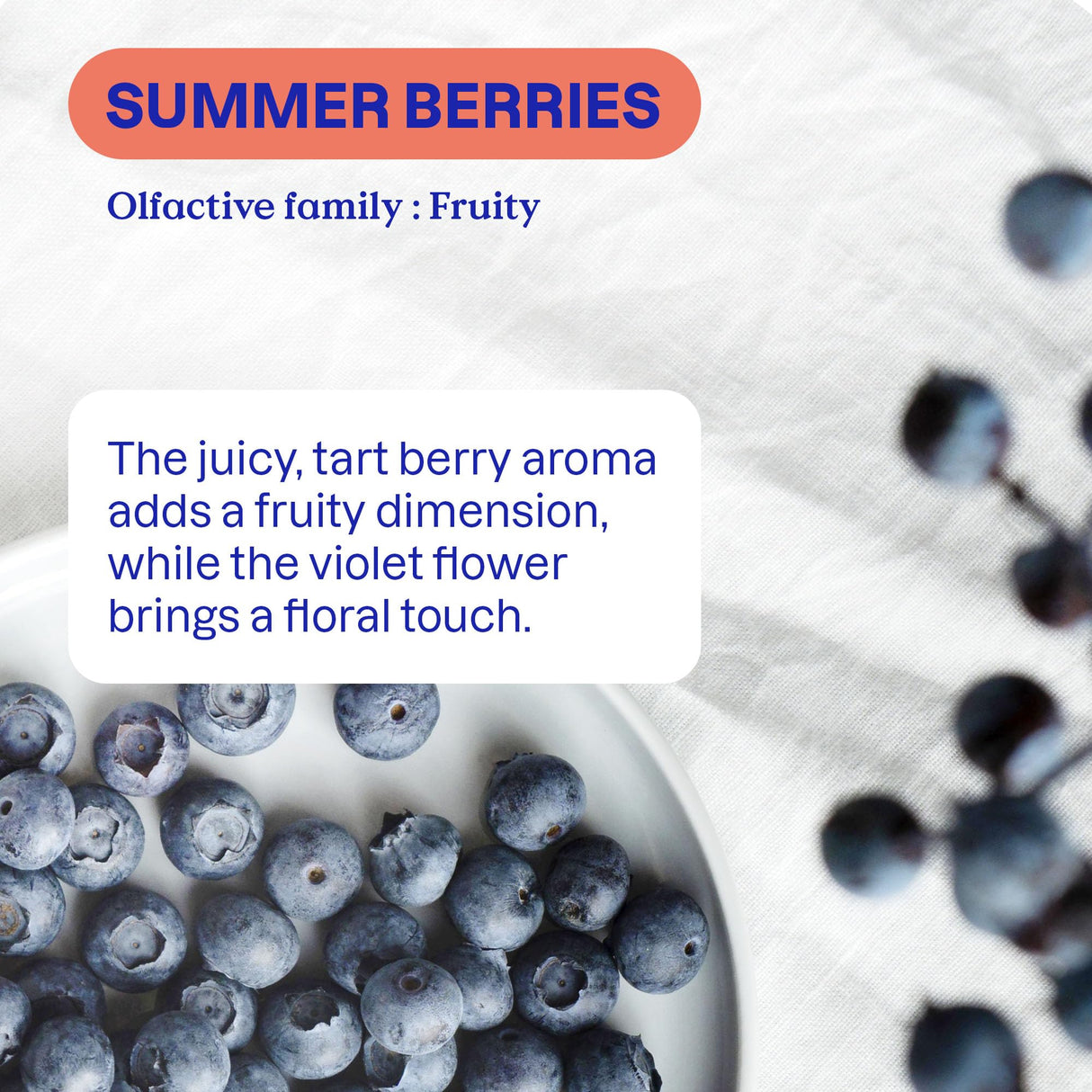 ATTITUDE Liquid Laundry Detergent, EWG Verified, HE Compatible, Plant-Based & Vegan, Natural Laundry Soap, Summer Berries Scent, 40 Loads, 67.6 Fl Oz