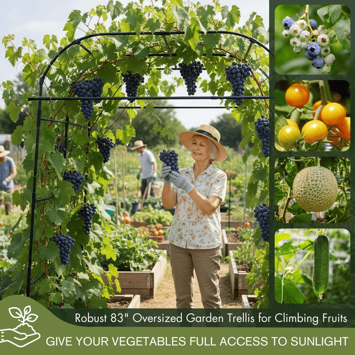 BAXAM Wide Arch Trellis 7FT Extra Tall Garden Trellis Arch – Sturdy Plastic Coated Steel Metal Arch for Garden Climbing Plants & Vegetables, Weather-Resistant Outdoor Cucumber Trellis Arch