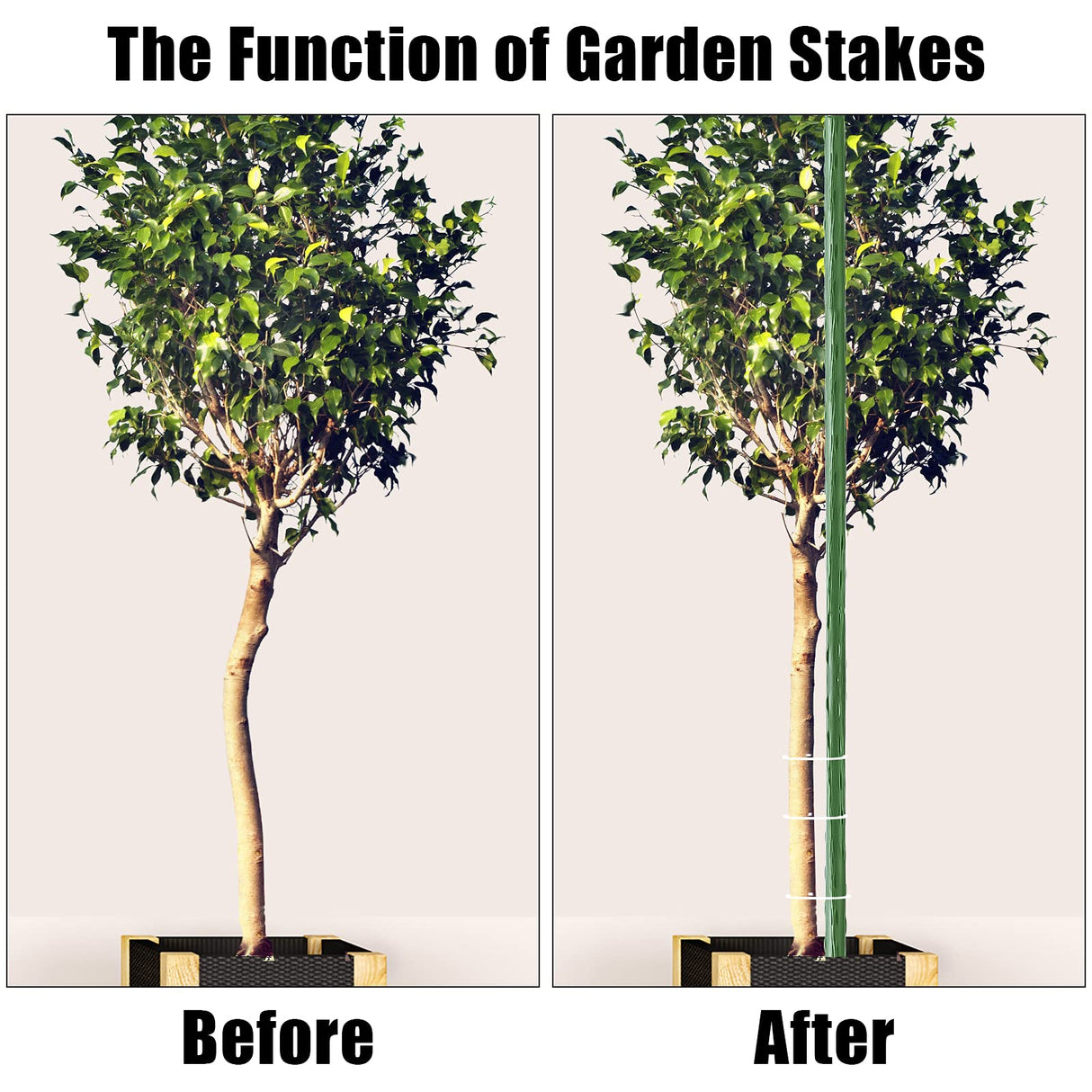 FEED GARDEN Garden Stakes 72 Inch 6ft 25 Pack, Sturdy Plant Metal Sticks Support, Plastic Coated Plant Stakes,Tomato Stakes, Beans,Trees