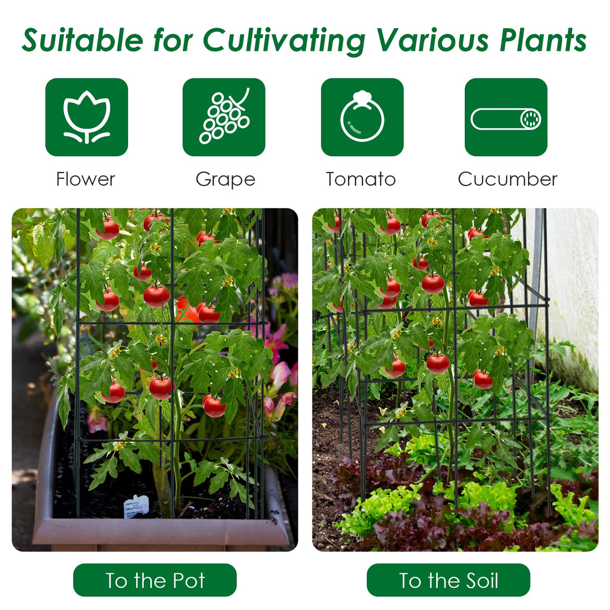 S AFSTAR 4 Pack Folding Tomato Cages, 39 Inches Tall Square Plant Support Cage for Garden Climbing Plants Flowers Fruits, Heavy Duty Tomato Vegetable Trellis