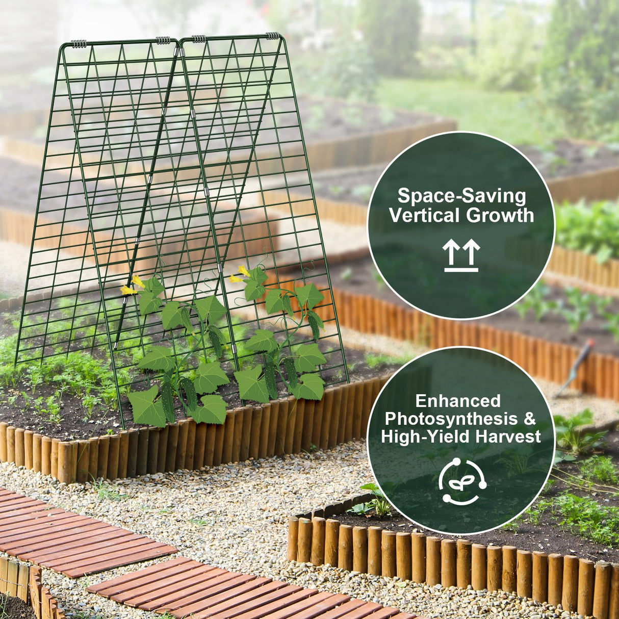 Amoskey Cucumber Trellis, Garden Trellis for Climbing Plants Outdoor, Foldable A-Frame Trellis, Cucumber Trellis for Raised Bed for Cucumbers, Peas, or Tomatoes (Green, Small Grid 48‘’H*34''W)