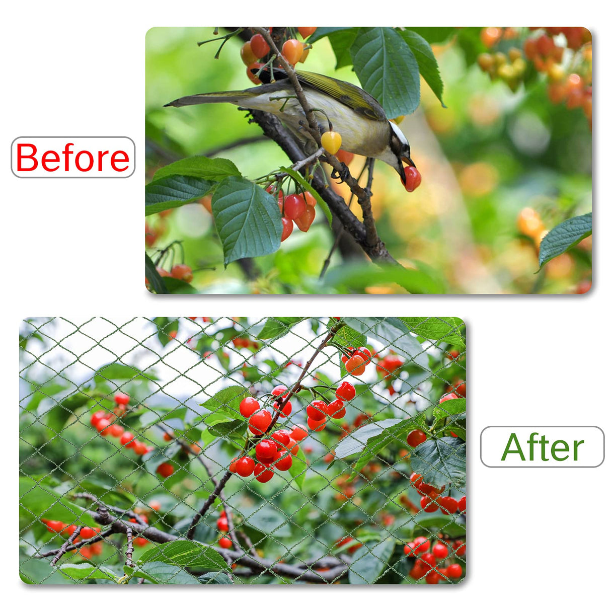 Anti Bird Netting for Garden Woven Mesh - Heavy Duty Protect Plants and Fruit Trees from Rodents Birds Deer Poultry Reusable and Doesn't Tangle (19.5 ft x 40 ft)