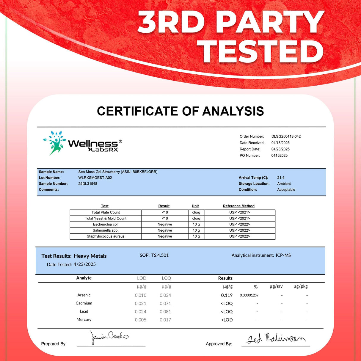 WELLNESS LABSRX Irish Sea Moss Gel Raw - Wildcrafted Superfood Seamoss Gel - Strawberry Flavor, Vitamin and Mineral-Rich from Pristine Caribbean Waters, Immune and Digestive Health Support - 10 oz.